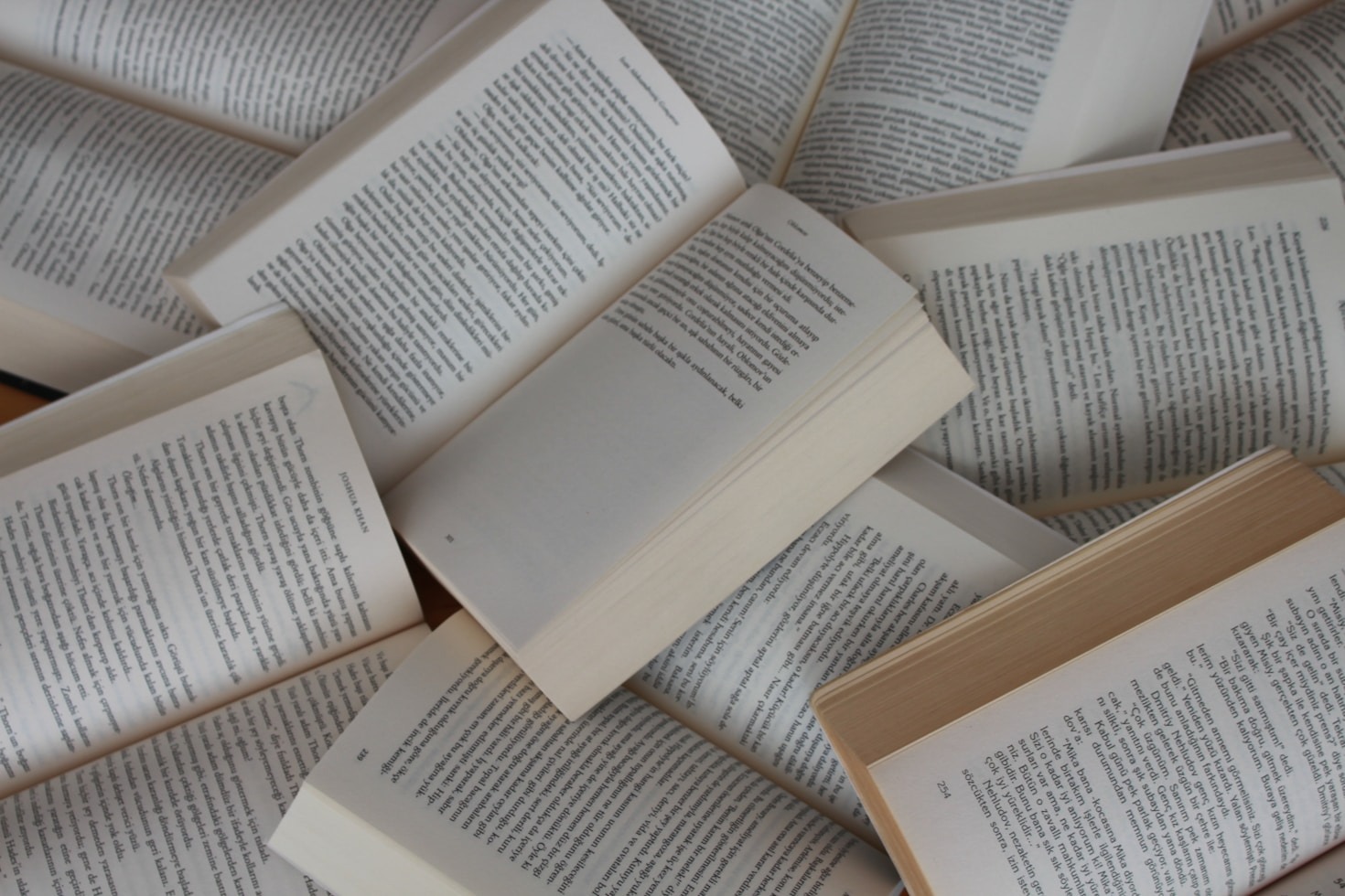 The Role of Noble Print in Promoting Literature